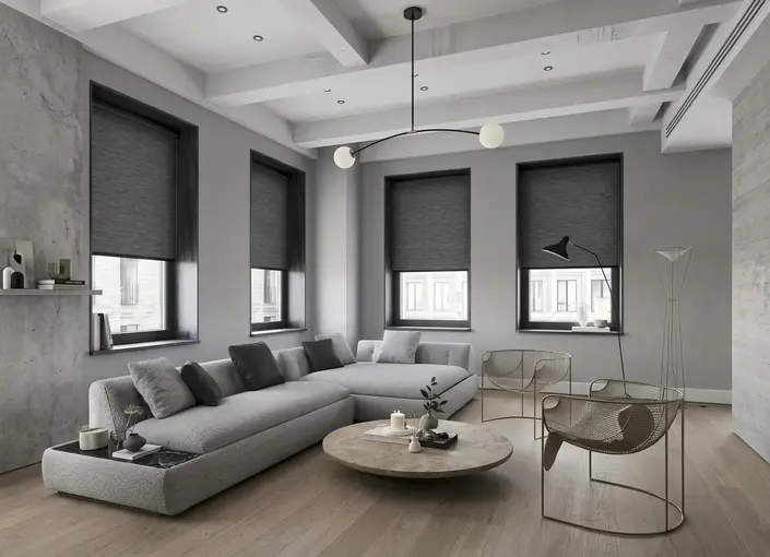 Roller Blinds in Living Room